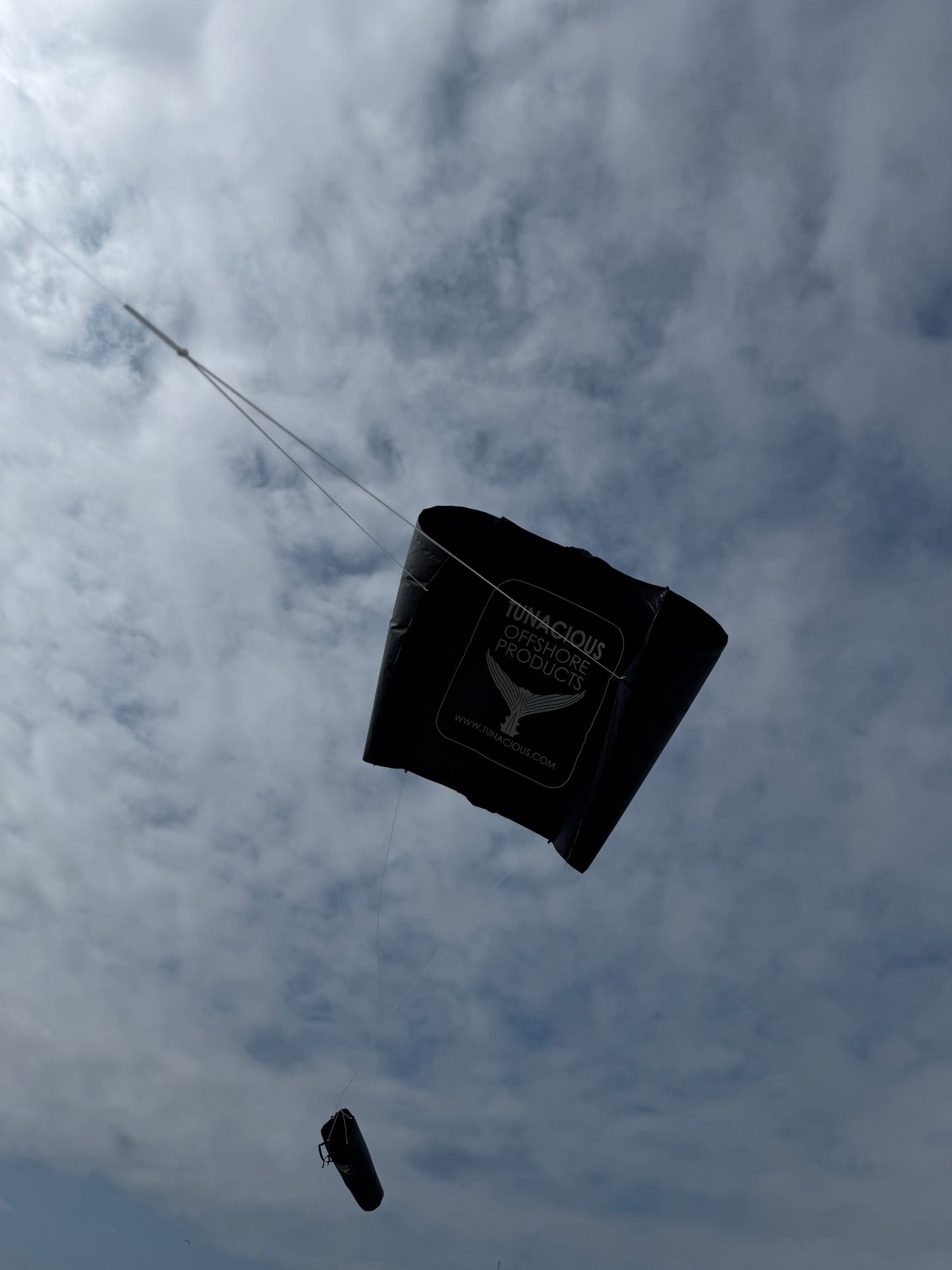 TUNACIOUS BAIT KITE - RIGGED