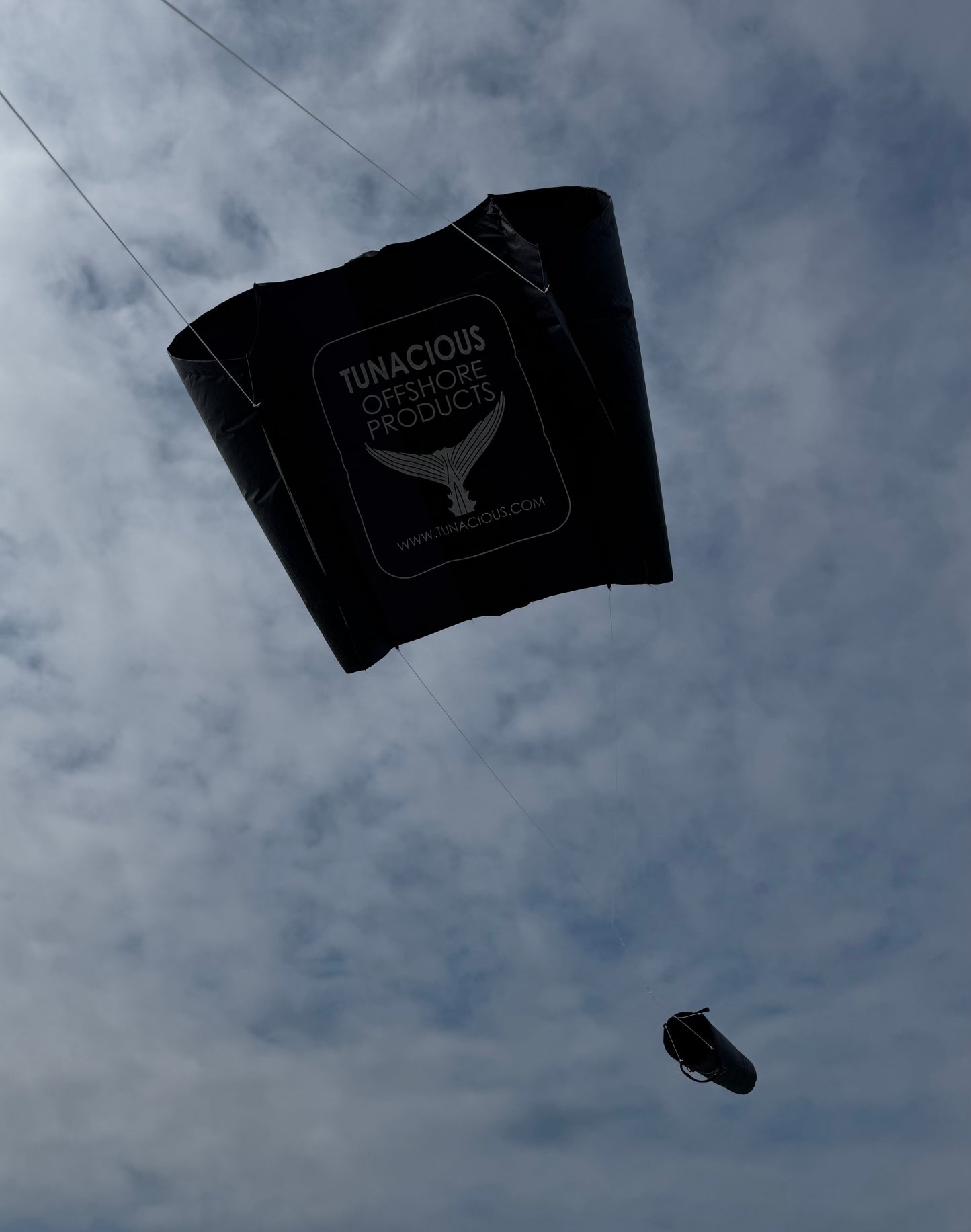 TUNACIOUS BAIT KITE - RIGGED