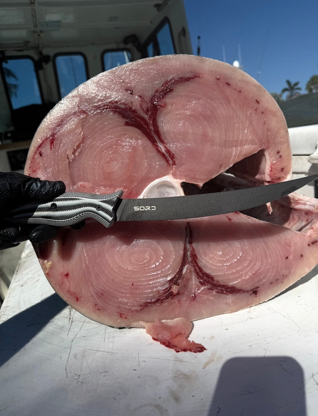 Sord KNIVES- The sharpest filet knife i have ever tried.