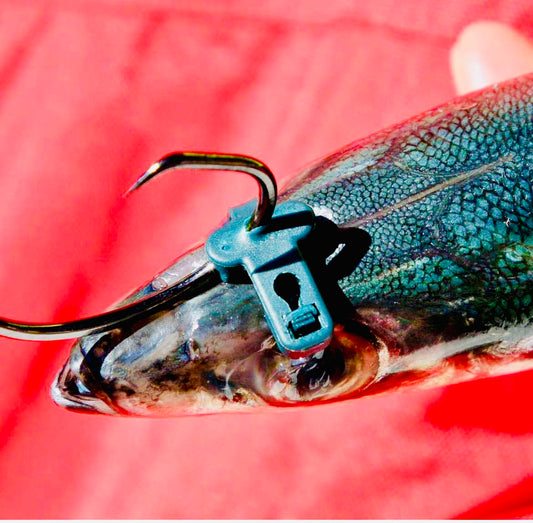 NITTA - LIVE BAIT Max Bridle