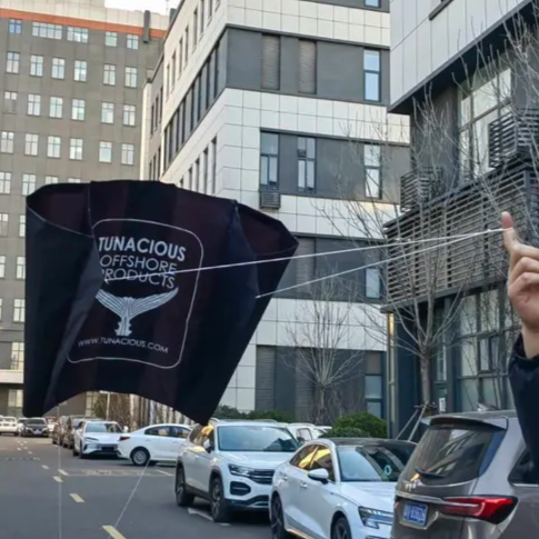 TUNACIOUS BAIT KITE - RIGGED
