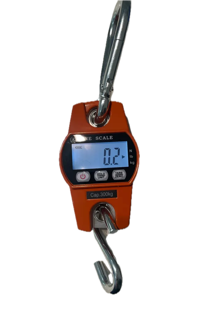 DIGITAL SCALE